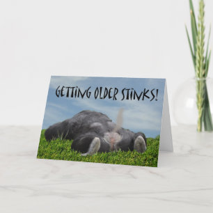 Carte Funny Humorous Getting Older Monkey Happy Birthday