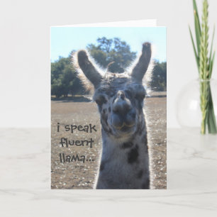 Carte Funny Llama Birthday Card, I speak fluent llama