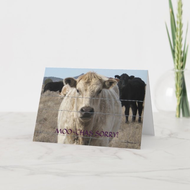 Carte Funny Moo Black White Vache Apologie - Ranch ou fe (Devant)