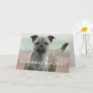 Carte Funny Mutt Mixed Breed Chig Photo Joyeux Anniversa