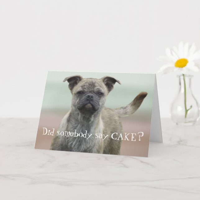 Carte Funny Mutt Mixed Breed Chig Photo Joyeux Anniversa (Petite plante)