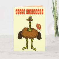 Funny ostrich