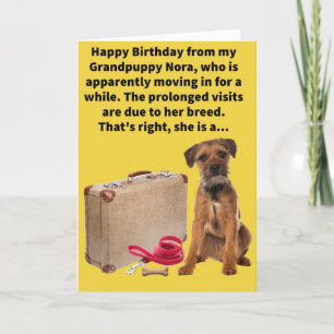 Carte Funny Pun Boarder Terrier Joyeux anniversaire
