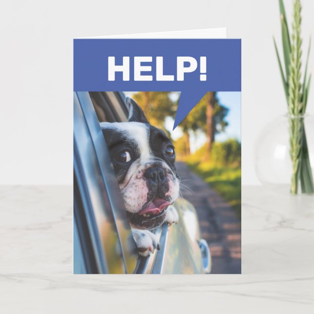 Carte Funny Senior Driving Car, Terrified Dog Passenger (Devant)