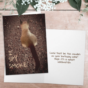 Carte Funny Siamese Kitten Butt Photo Anniversaire