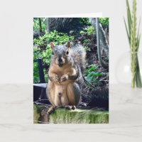 Funny Squirrel Deez Nuts Texte personnalisé Annive