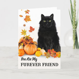 Carte Furever Friend Cute Halloween avec chat noir