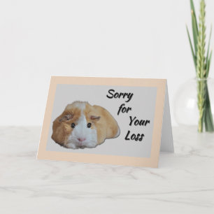 Carte Furry Little Guinea Pig Tan Désolé pour votre pert