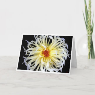 Carte fuseau de fleur