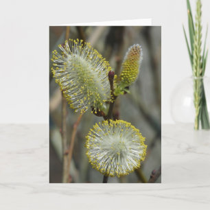 Carte "Fuzzy Blooming Bush"
