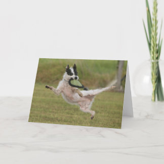 Carte gagnant de concours de photo de Karate',