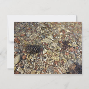 Carte Galets dans Taylor Creek Nature Photography