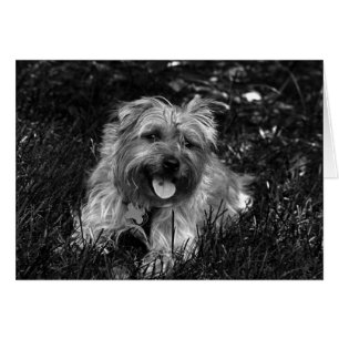 Carte garçon heureuse