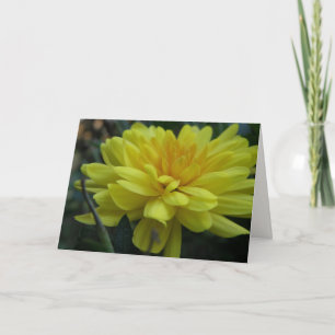 Carte Garden Mum "Get well soon!" Card