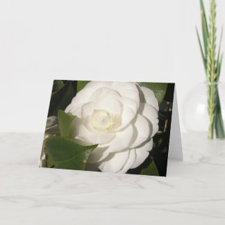 Carte Gardenia
