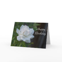Gardénia de joyeux anniversaire
