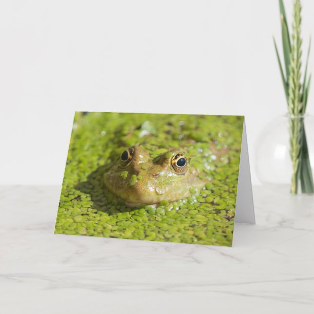 Carte Garder le cool (Devant)