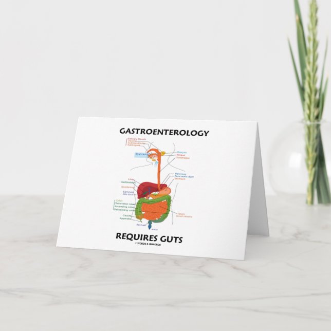 Carte Gastroentérologie Nécessite Des Guts (Système Dige (Devant)