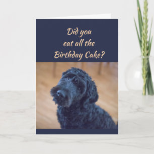 Carte Gâteau d'anniversaire Humour mignonne Chien bouclé