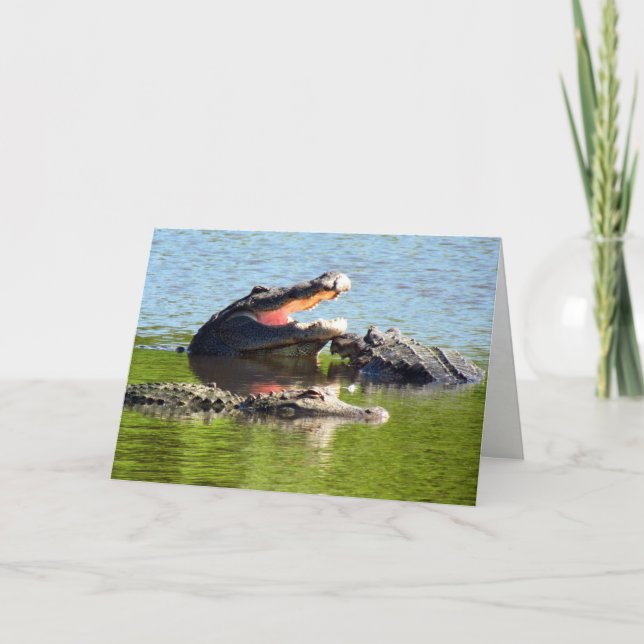 Carte Gator fête d'anniversaire ! (Devant)