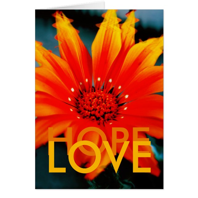 Carte GAZANIART (Devant)