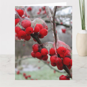 Carte Gel d'hiver et glace sur les baies rouges