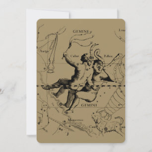 Carte Gemini Constellation Map Hevelius vers 1690