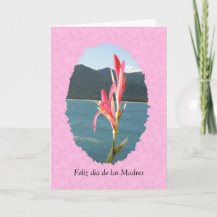 Carte Général de diamètre de las Madres de Feliz