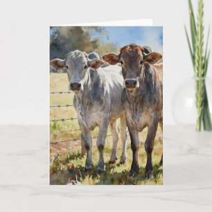 Carte Génisses Brahman à l'aquarelle