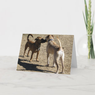 Carte Gentil de vous rencontrer !