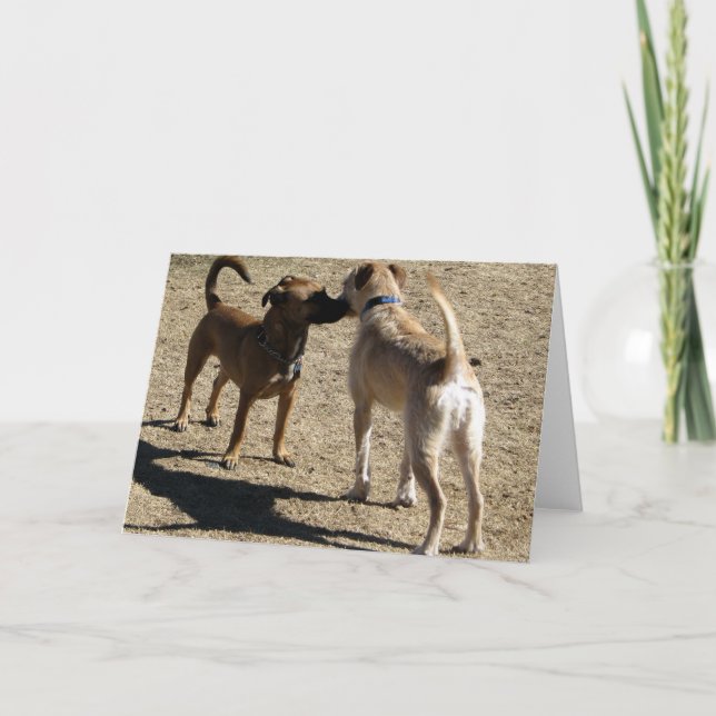 Carte Gentil de vous rencontrer ! (Devant)