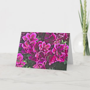 Carte Géraniums rose foncé
