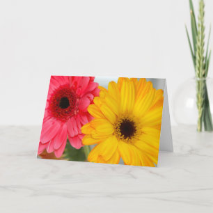 Carte Gerber Daises Friendship Grey Card