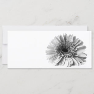 Carte Gerbera