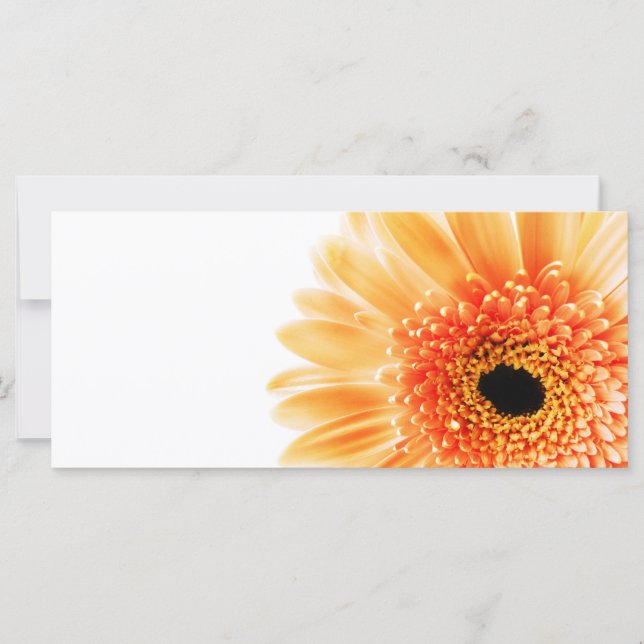 Carte Gerbera (Devant)