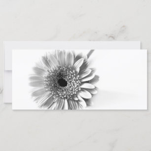 Carte Gerbera Daisy