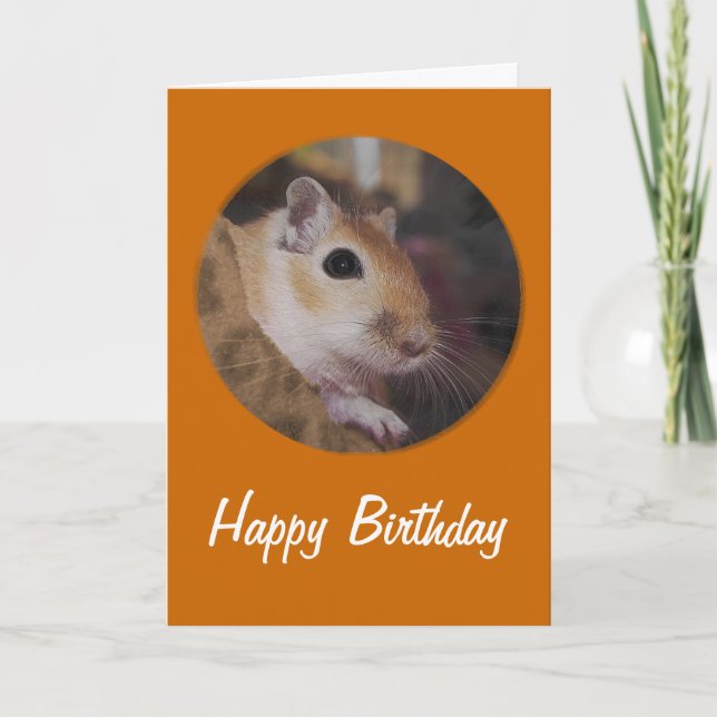 Carte Gerbille d'or mignonne d'animal familier (Devant)