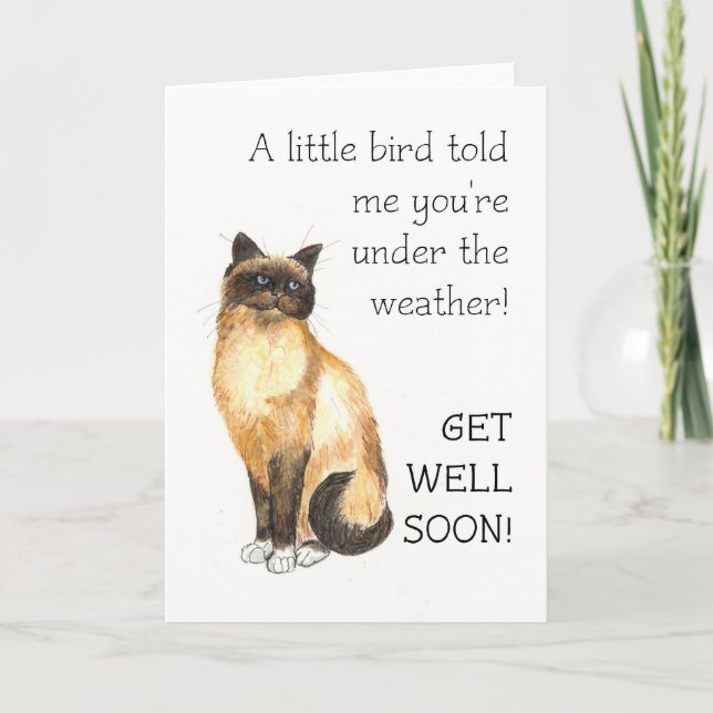 Carte Get Well - Birman Cat (Devant)