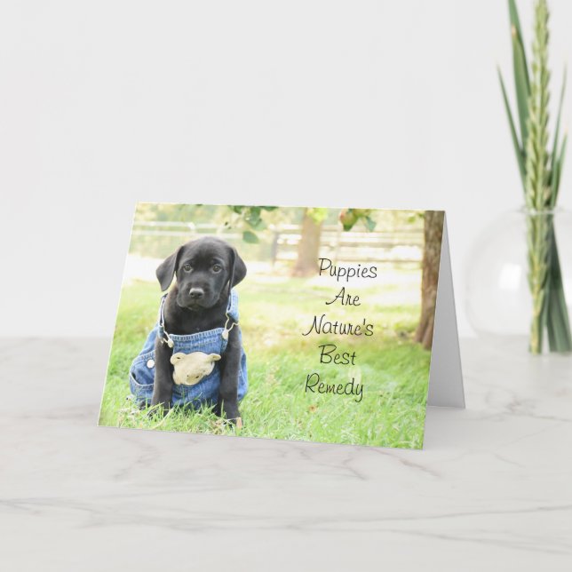 Carte Get Well Card - Les marionnettes sont le meilleur  (Devant)