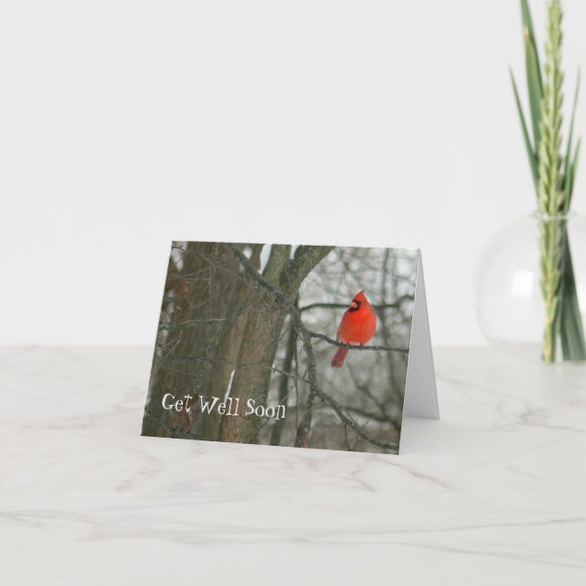 CARTE GET WELL SOON/BRIGHT RED CARDINAL ON TREE BRANCH (Devant)