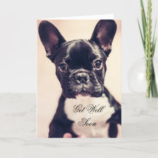 Carte Get Well Soon French Bulldog dog