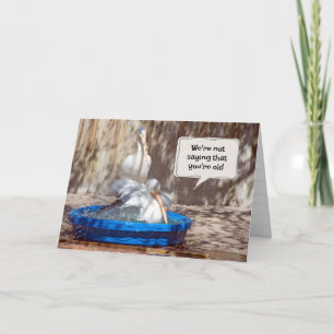 Carte Gettin Anniversaire Pélicans