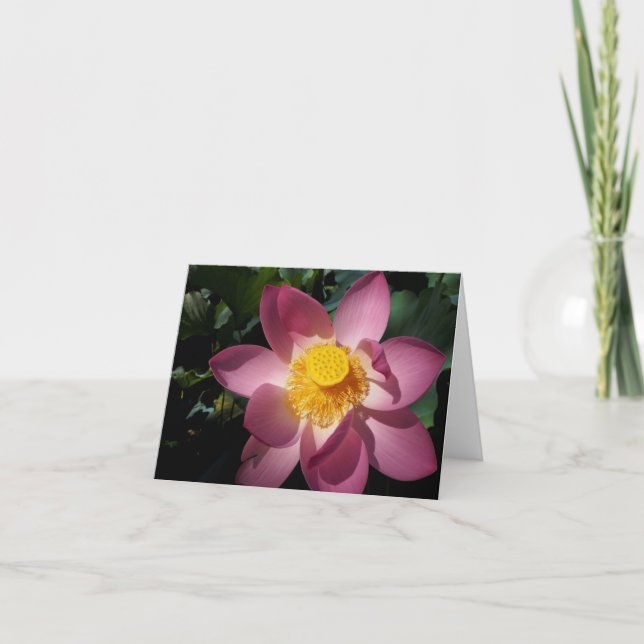 Carte Giant Lily Notecard (Devant)