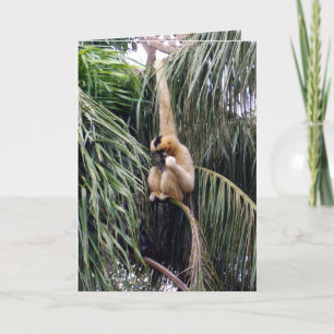 Carte Gibbon,_Just_Chillin,_Greeting_Card.