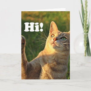 Carte Ginger Cat Dit Bonjour !