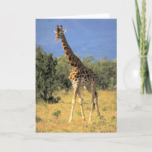 Carte Girafe
