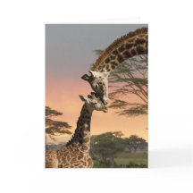 Girafe de mère et de bébé