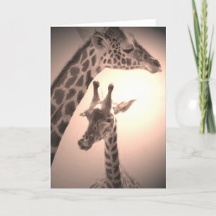 Carte girafes, mère et enfant