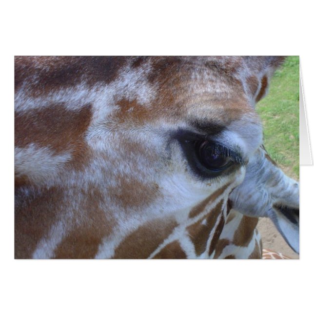 Carte Giraffe ! (Devant horizontal)