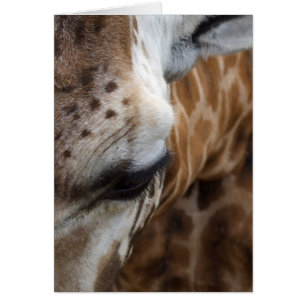 Carte Giraffe
